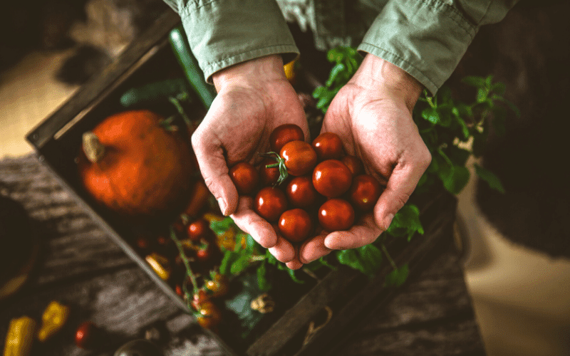 Comprar-verduras-ecologicas-a-domicilio