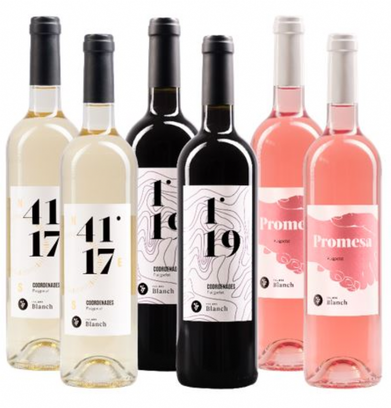 pack vinos jovenes blanch