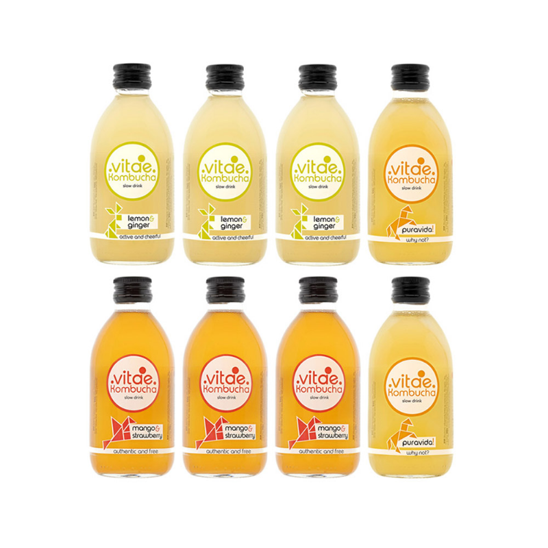 pack classic 250 vitae kombucha