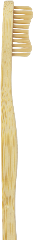 cepillo de dientes de bambú la ecotuca