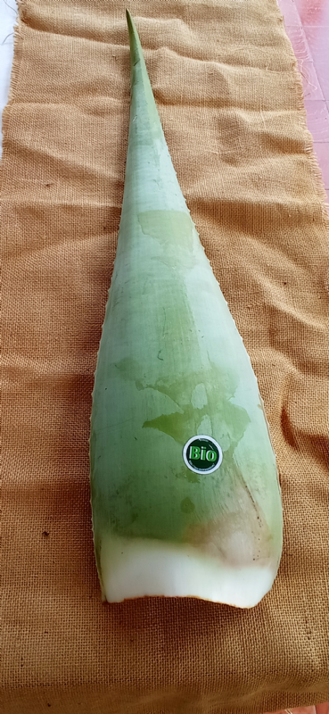 hoja de aloe vera