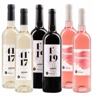 Pack vinos jovenes Blanch