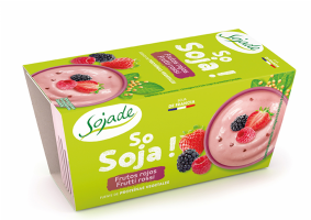 YOGUR DE SOJA FRUTAS DEL BOSQUE BIO, 2 x 100 g