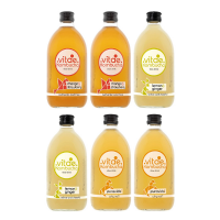 PACK CLASSIC 500 VITAE KOMBUCHA